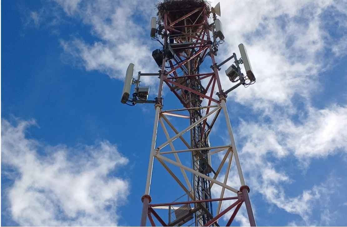 Comment optimiser la maintenance de vos réseaux ?