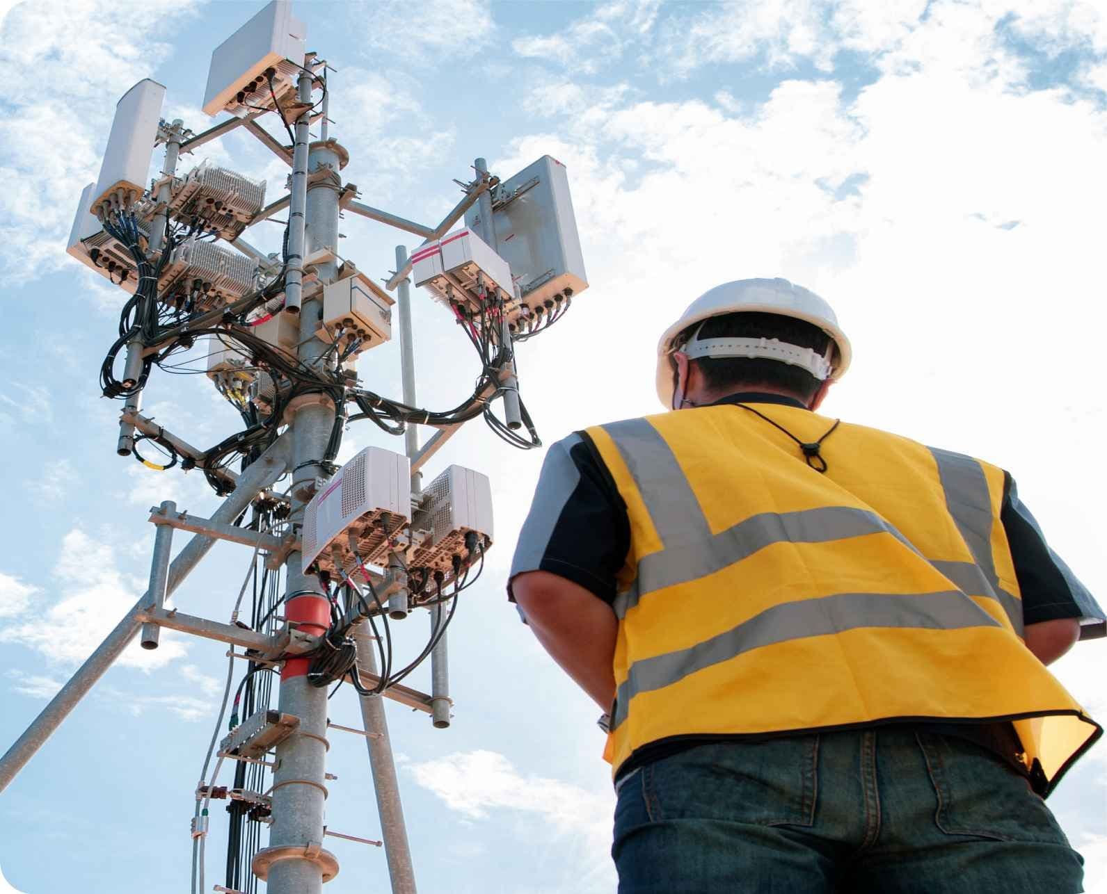 Pest Control Service